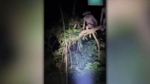 [Необъяснимое видео] Самые Жуткие Видео Снятые На Камеру