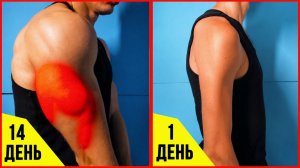 Тренировка трицепса без оборудования | 4 упражнения дома | Домашняя тренировка