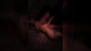 Как правельно ухаживоть за лабрадорам ретвелерам