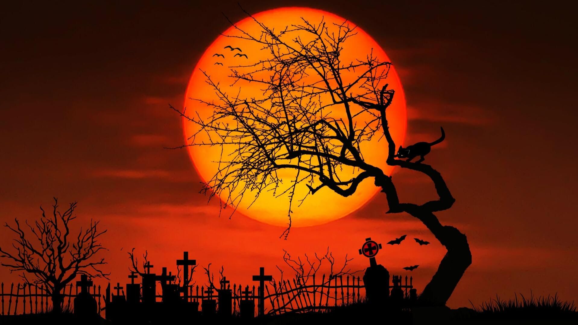 paradise-lost-until-the-grave