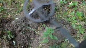 ОБАЛДЕТЬ, сколько находок скрывалось под корнями деревьев. В поиске кладов и тайников в лесу