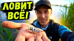 ПОПЛА-ПОППЕР в деле! Как я ловлю рыбу на попла-поппер?