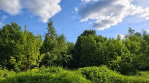 Спокойная музыка без слов для души. Фоновая музыка без слов. Спокойная музыка для фона