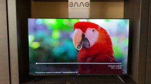Обзор Телевізора Xiaomi TV A 43 2026 придбаного у магазині АЛЛО