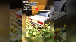 цыганская 😎песня 2026 🍷года.амарэ 🥀.музк
ашунэн 🦋пэ.♥️🕊️зорэстэ