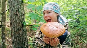 За ГРИБАМИ в ИЮНЕ! Сезон грибалки 2026 ОТКРЫТ! А Вы любите грибы ЛИСИЧКИ?
