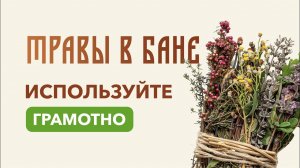 ТРАВЫ В БАНЕ