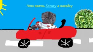 Что взять БАСИКУ в поездку