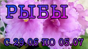 РЫБЫ таро прогноз на неделю с 29 ИЮНЯ по 5 ИЮЛЯ 2026 года
