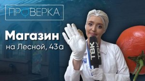 «Проверка» ТВК \ Продуктовый магазин в Удачном