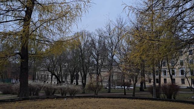 Санкт-Петербург | Алексеевский сад | пение птиц | звуки города | осень смотреть онлайн