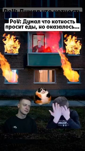Котость
