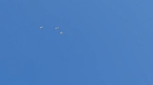 Мраморные Бакинские Голуби!