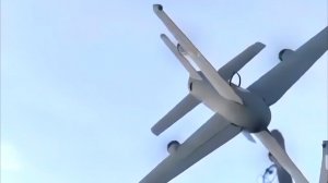 Дрон перехватчик Елка сбивает БПЛА Hornet Украины