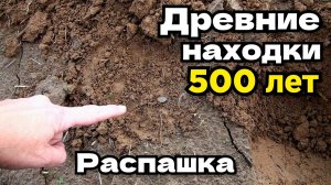 Коп царских монет! Поиск металлоискателем! Нашли старинные находки монеты и серебро! Монете 500 лет!