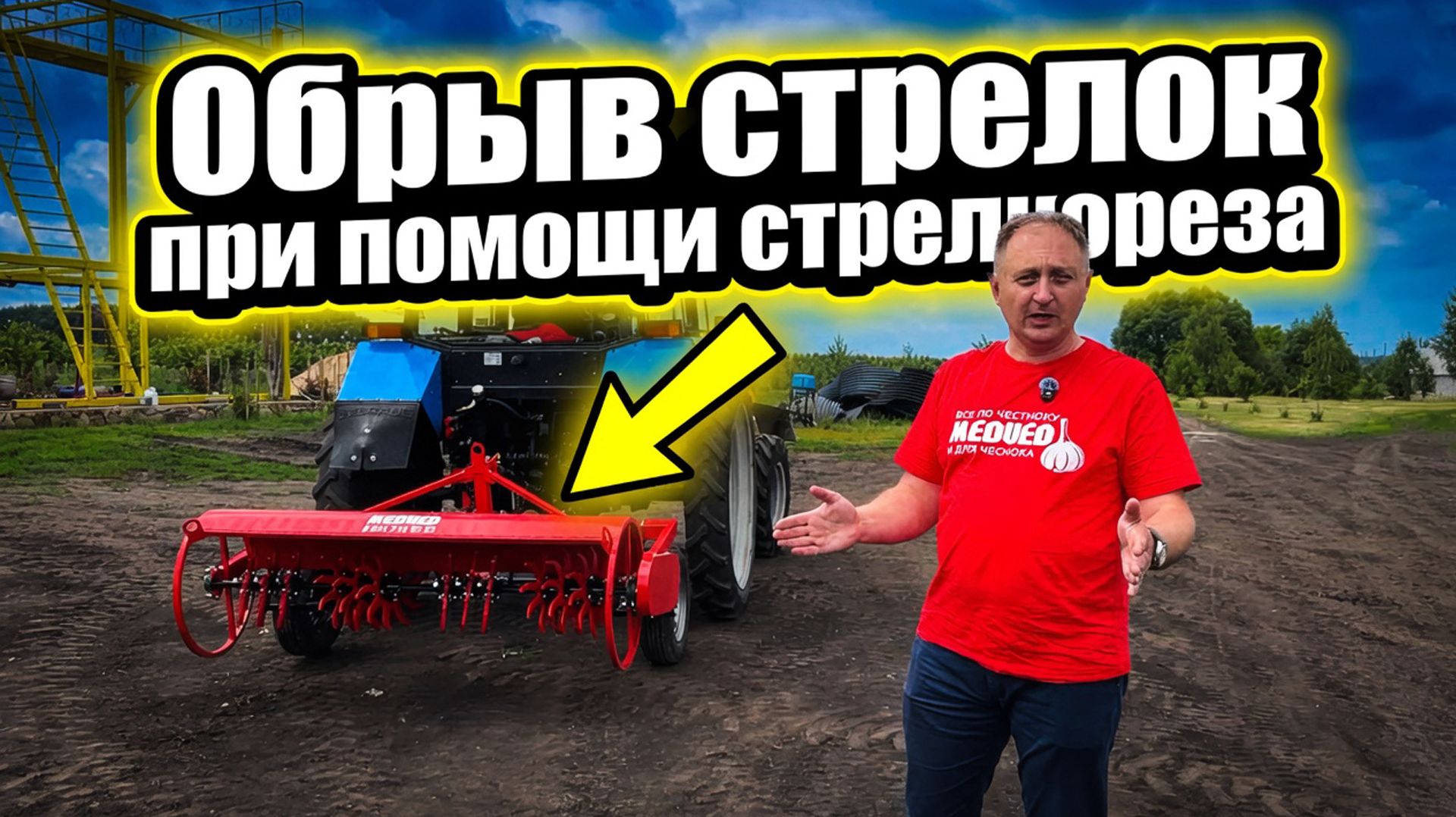 Уход за чесноком в поле: удаление стрелок при помощи стрелкореза и система полива