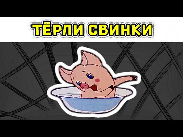 Тёрли свинки друг другу спинки - мем смотреть онлайн