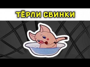 Тёрли свинки друг другу спинки - мем