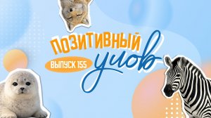 Превращение осла в зебру и рост популяции нерп. «Позитивный улов»