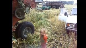 Уборка урожая в Сибири