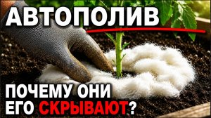 Новый Способ Полива, Который Ничего Не Стоит — Его Используют Амиши, Но Агрономы Его От Нас Скрывали