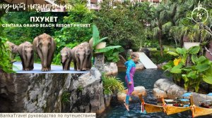 Centara Grand Beach Resort Phuket 5* — обзор отеля на пляже Карон