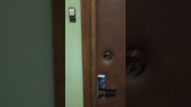 1000154225.mp4 смотреть онлайн