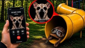 SLIDE EATER против жуткого Dog EXE. СТРАШИЛКИ.