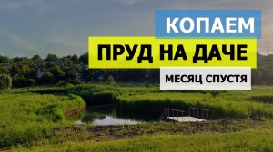 Месяц спустя! Строительство пруда, копанка-пруд своими руками