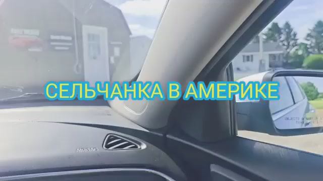 Сельчанка в Америке ЗАЕХАЛИ В МАГАЗИН БЕЗ ПРОДАВЦА НЕЗНАЮ ЧТО ДЕЛАТЬ С ПАВЛИНКОЙ смотреть онлайн