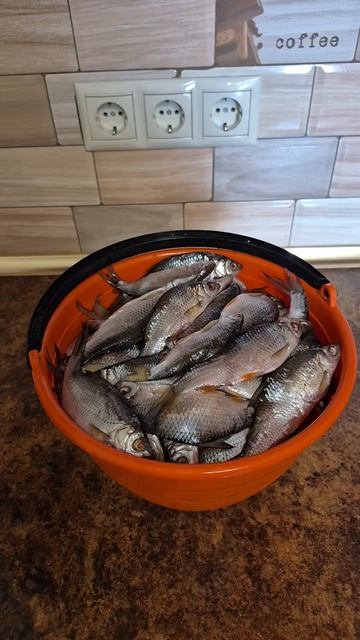 мой любимый ,Хуторок,