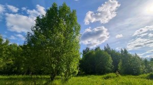 Спокойная музыка без слов для души. Фоновая музыка без слов. Спокойная музыка для фона