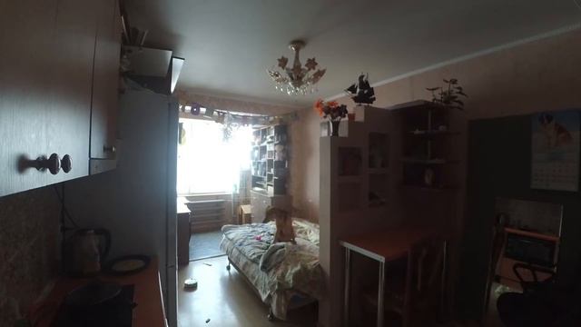 Скрытая Камера Пес один дома смотреть онлайн