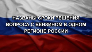 Названы сроки решения вопроса с бензином в одном регионе России