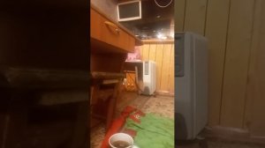 🤗С ДНЕМ МОЛОДЁЖИ ВАС🤗