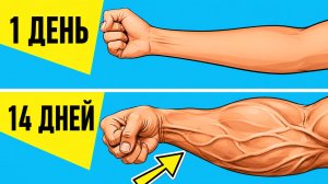 3 Упражнения Для ПРЕДПЛЕЧИЙ | Тренировка Дома