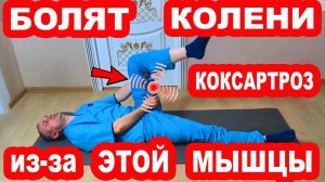 Из-за этой мышцы болят КОЛЕНИ и Тазобедренные. Показываю как её вылечить и БОЛИ не будет НИКОГДА!