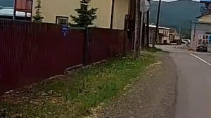 Выйду на улицу,гляну на село!