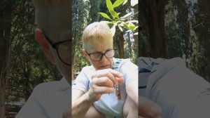 Алушта. Открытый бассейн. 20-22 июня 2026