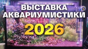 Выставка аквариумистики 2026. Москва