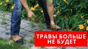 БЮДЖЕТНЫЙ СУПЕРМЕТОД: травы на ДОРОЖКАХ больше не будет