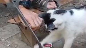 ❤Немного настроение,бескорыстный помощник
