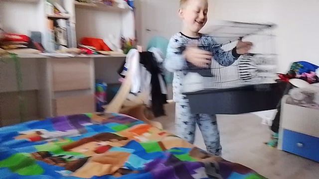 мне подарили хомячка
