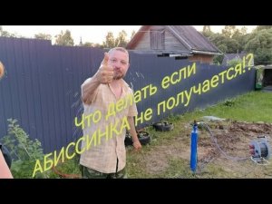 Что делать если Абиссинка не получается!?