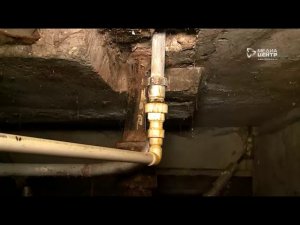 Жильцы дома в Череповце вынуждены мириться с жутким запахом канализации