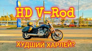 Худший или лучший харлей? Полный обзор Harley-Davidson V-Rod Muscle