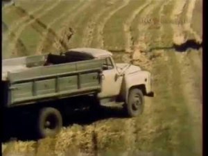 Уборка урожая в Воронежской области.  1988г