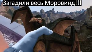 просто брожу по Morrowind как нуб
