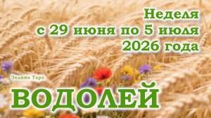 ВОДОЛЕЙ | ТАРО прогноз на неделю с 29 июня по 5 июля 2026 года