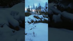 Видеонаблюдение на предприятии по строительству домов из сухарника